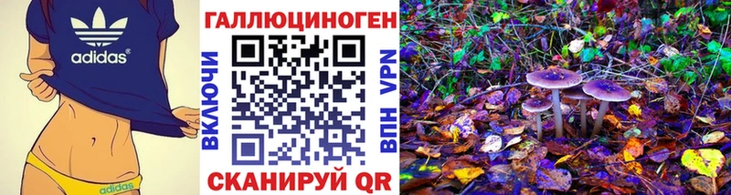 Купить закладки  Хотьково  Псилоцибиновые грибы мухоморы 